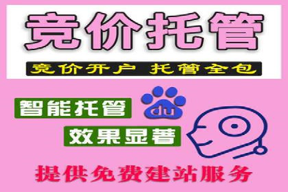 SEM公司成功案例解读：如何打造高效的广告团队